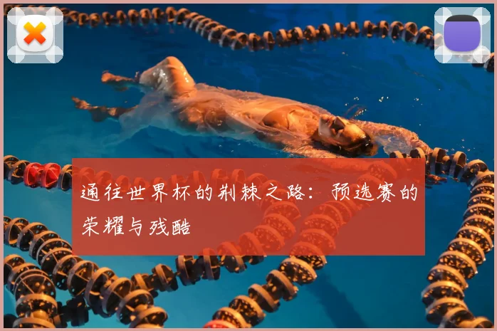 通往世界杯的荆棘之路：预选赛的荣耀与残酷