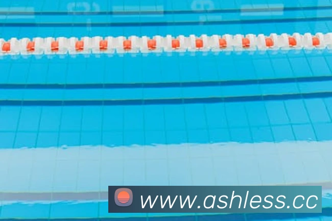 半岛网页版APP 体育赛事宣传图